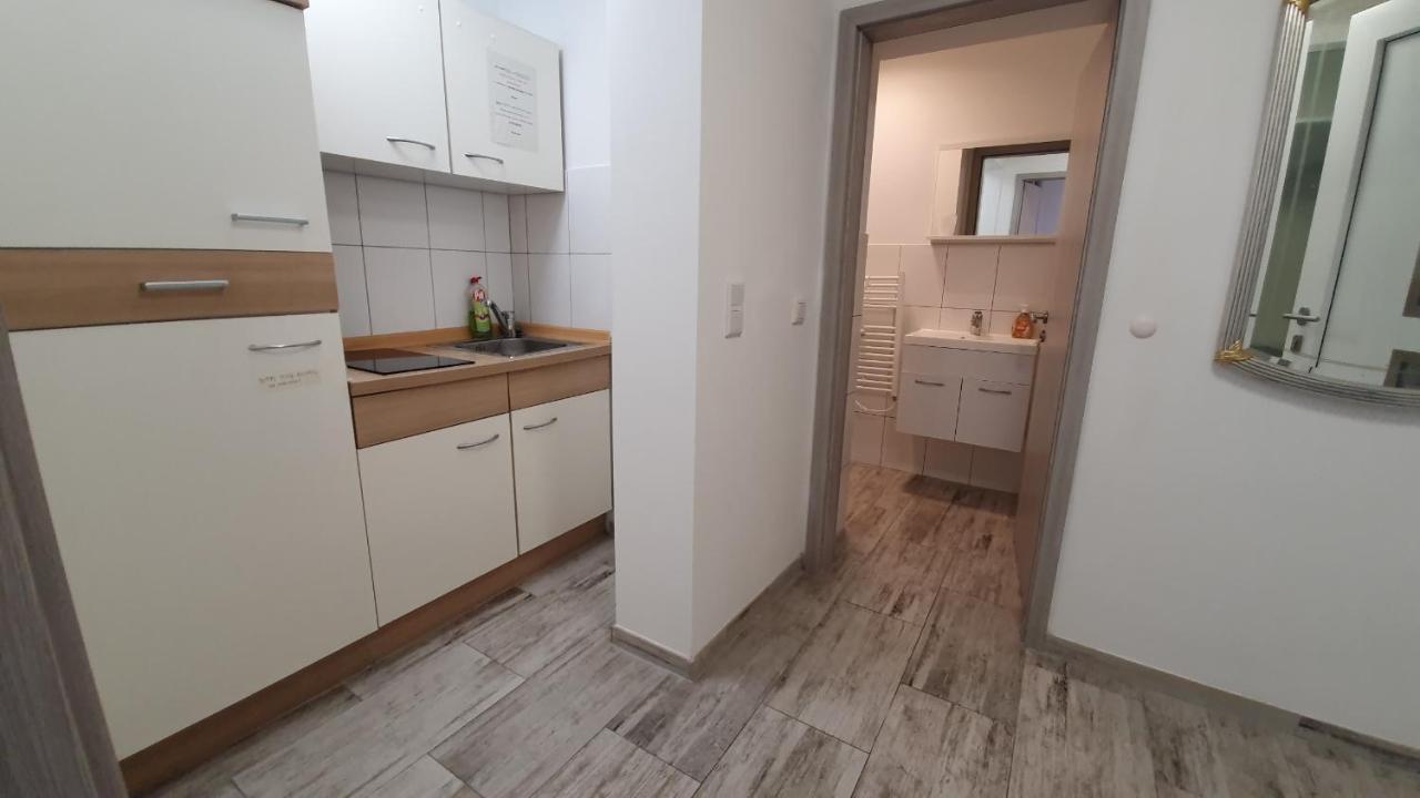 Neuburg Ferienwohnung Am Schloss 多瑙河畔诺伊堡 外观 照片